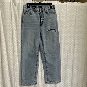 Wild Fable Light Blue 90’s relaxed Straight Jeans